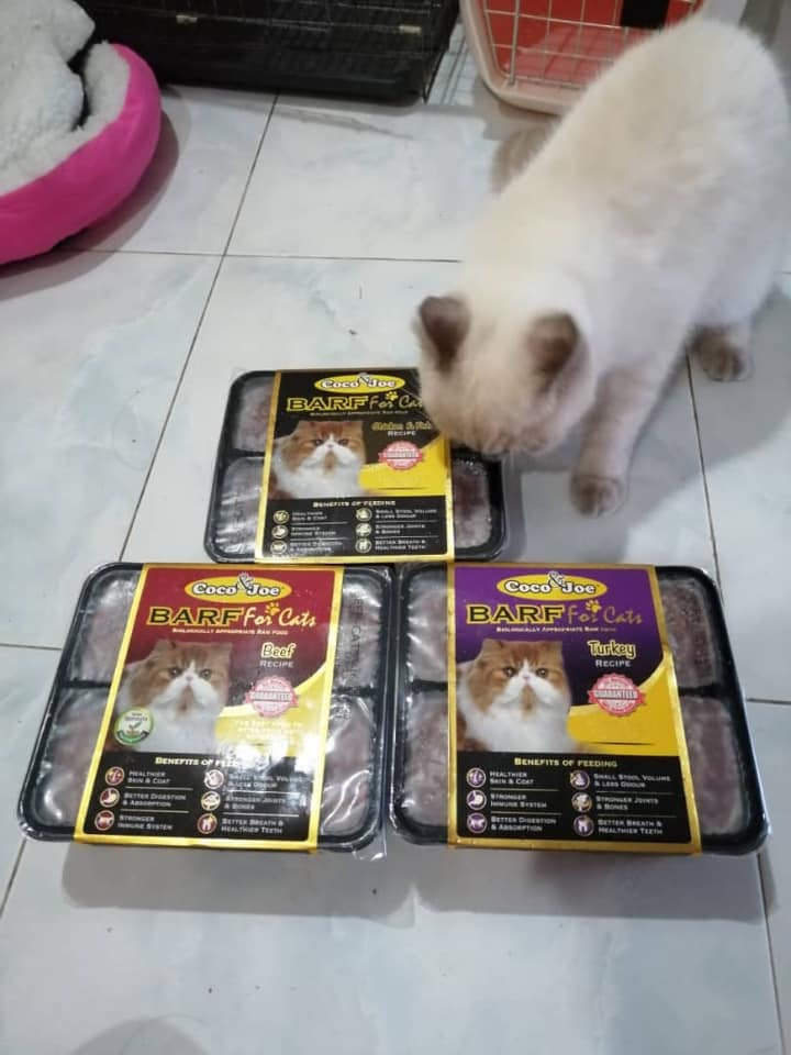 Pet Food Malaysia, dog food malaysia, cat food malaysia